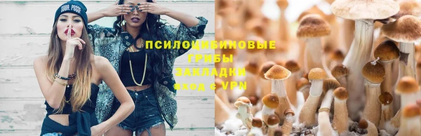 спиды Абдулино