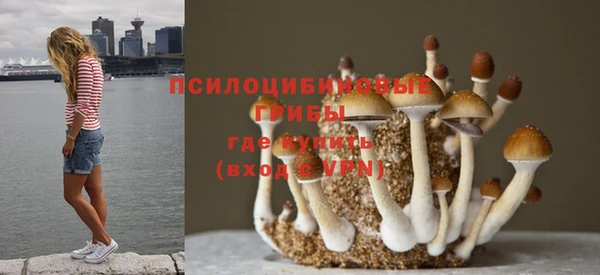 каннабис Абаза