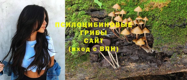 спиды Абдулино