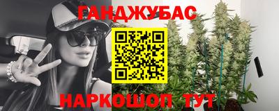 PSILOCYBIN Северобайкальск