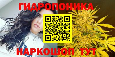 стафф Севастополь