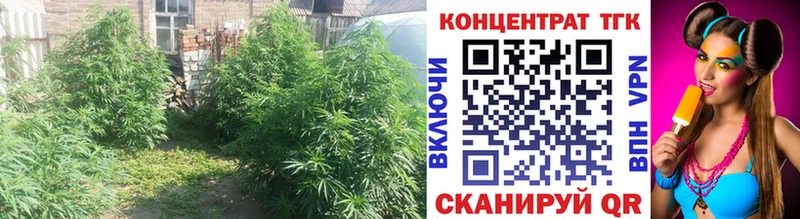 ТГК Wax  Истра 