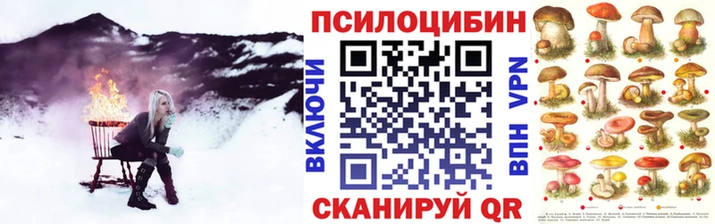 купить наркоту  Истра  Галлюциногенные грибы мицелий 