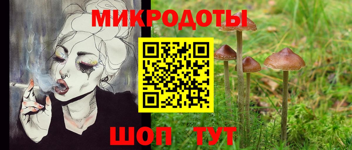 Псилоцибиновые грибы прущие грибы  Вход с VPN  Истра 