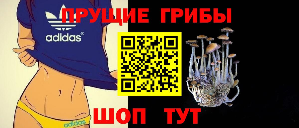 Псилоцибиновые грибы Psilocybe Истра